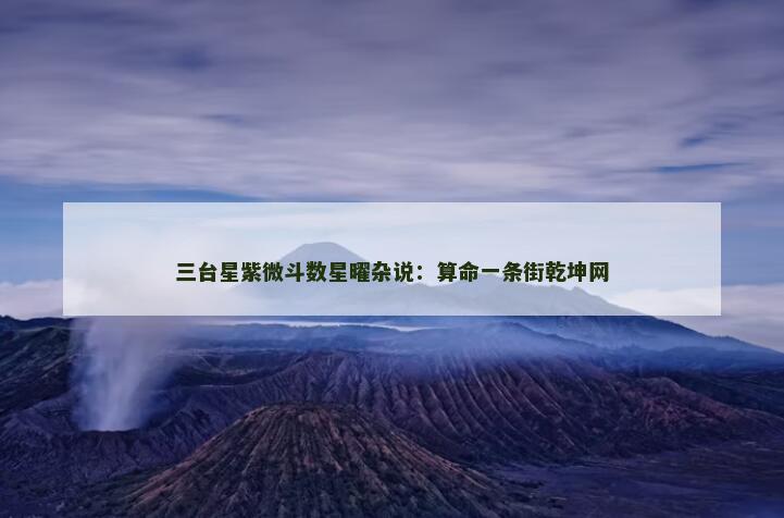 紫微斗数星曜杂说：算命一条街乾坤网
