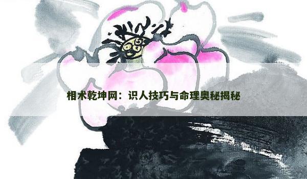 相术乾坤网：识人技巧与命理奥秘揭秘