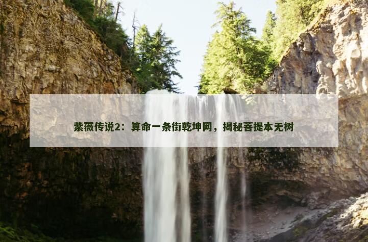 算命一条街乾坤网，揭秘菩提本无树