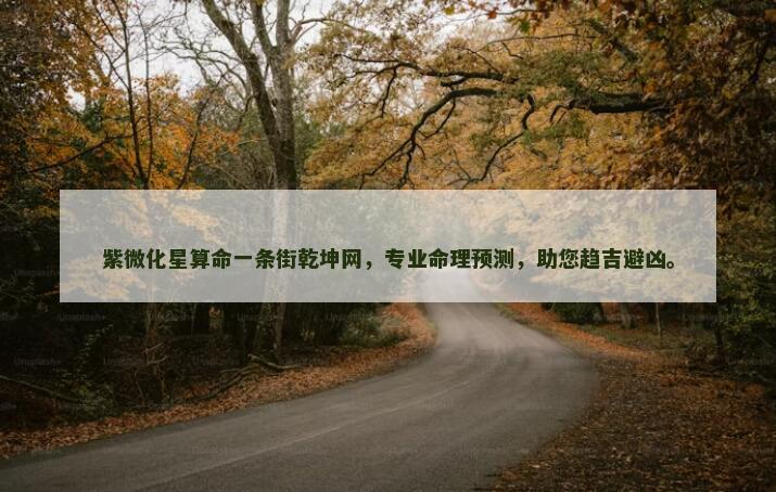 算命一条街乾坤网，专业命理预测，助您趋吉避凶。