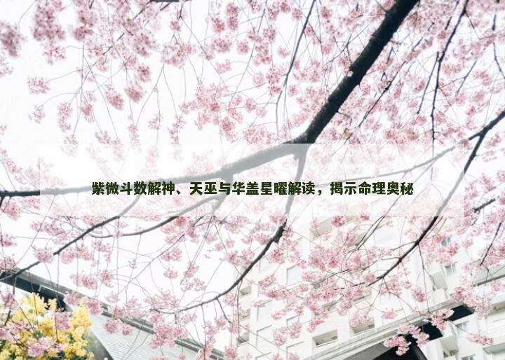 紫微斗数解神、天巫与华盖星曜解读，揭示命理奥秘