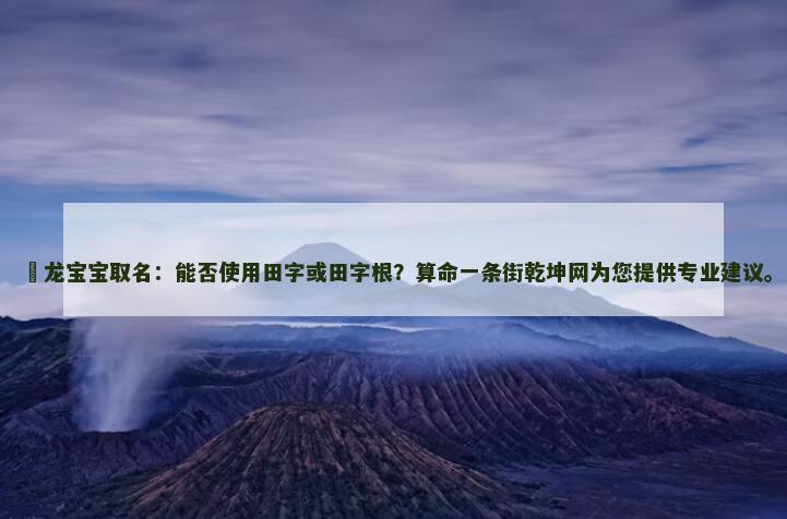 ﻿龙宝宝取名：能否使用田字或田字根？算命一条街为您提供专业建议。
