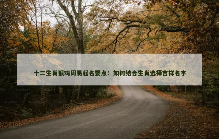 十二生肖猴鸡周易起名要点：如何结合生肖选择吉祥名字