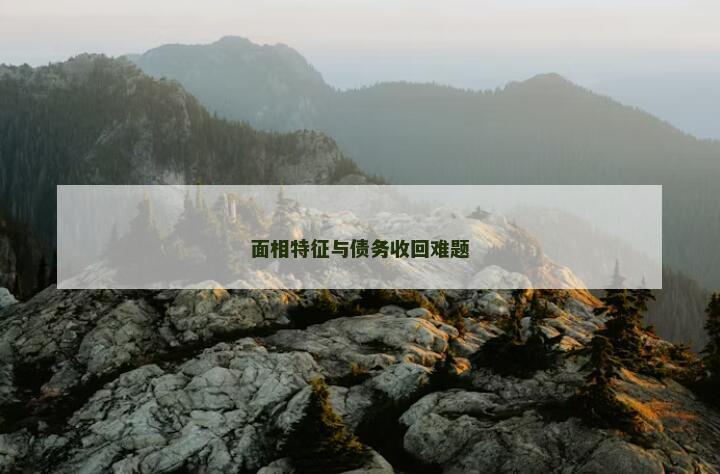 面相特征与债务收回难题
