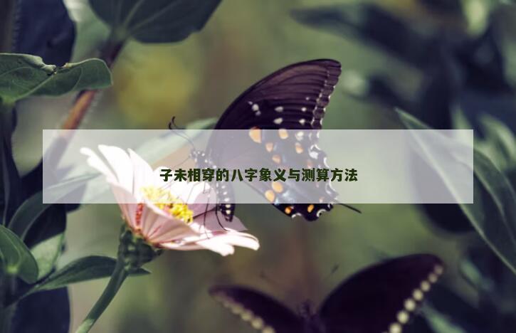 子未相穿的八字象义与测算方法