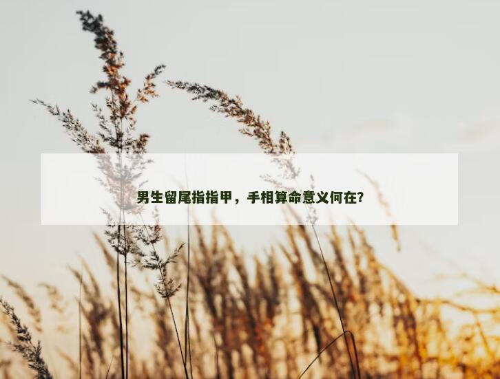 男生留尾指指甲，手相算命意义何在？