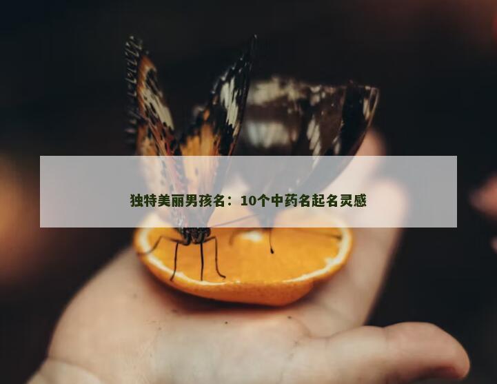 独特美丽男孩名：10个中药名起名灵感