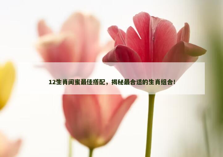 12生肖闺蜜最佳搭配，揭秘最合适的生肖组合！