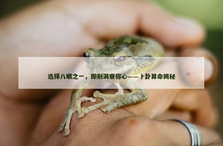 选择八眼之一，即刻洞察你心——卜卦算命揭秘