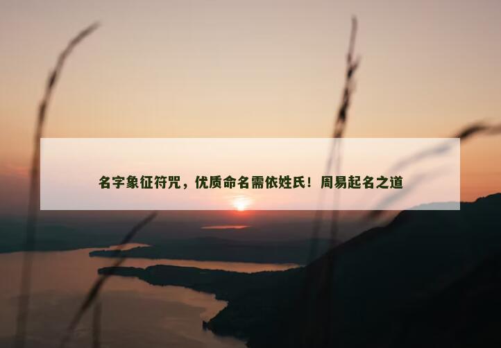名字象征符咒，优质命名需依姓氏！周易起名之道