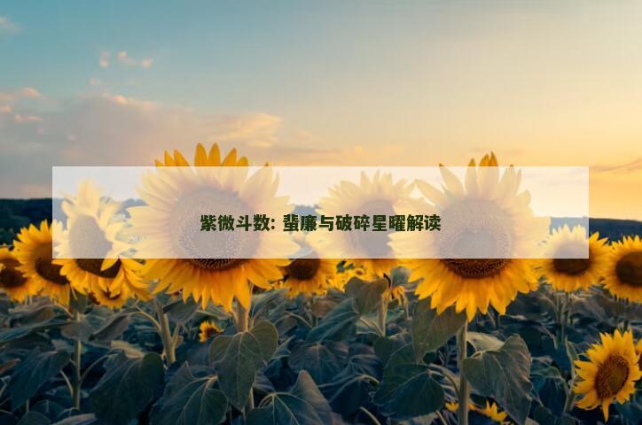 紫微斗数: 蜚廉与破碎星曜解读