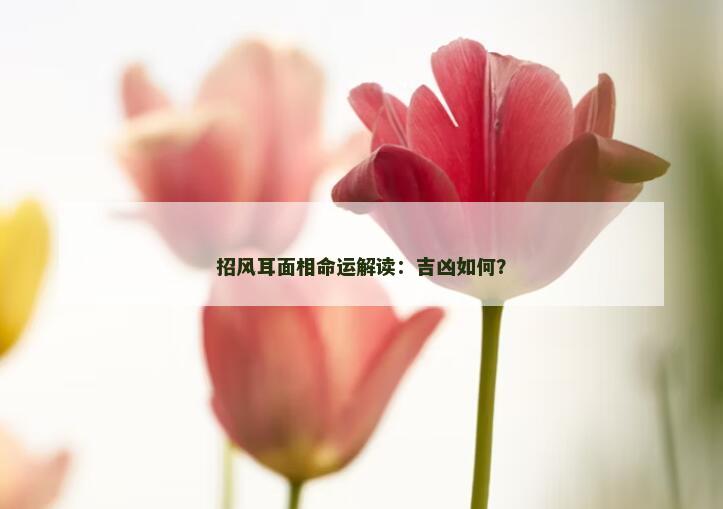 招风耳面相命运解读:吉凶如何? 招风耳面相命运解读:吉凶如何?