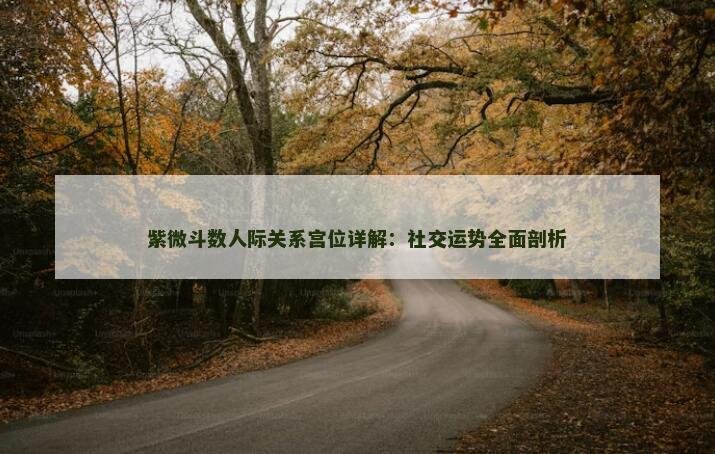 紫微斗数人际关系宫位详解：社交运势全面剖析