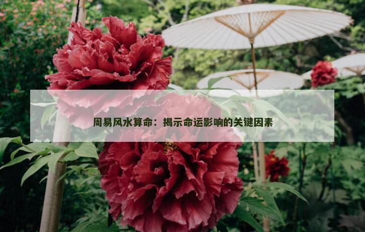 周易风水算命：揭示命运影响的关键因素