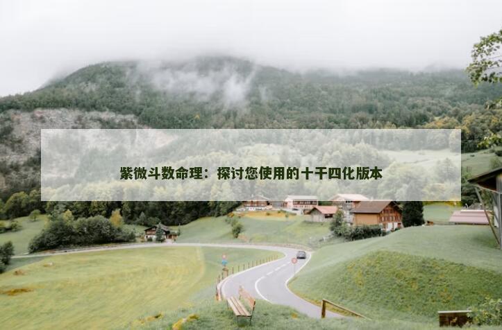 紫微斗数命理：探讨您使用的十干四化版本