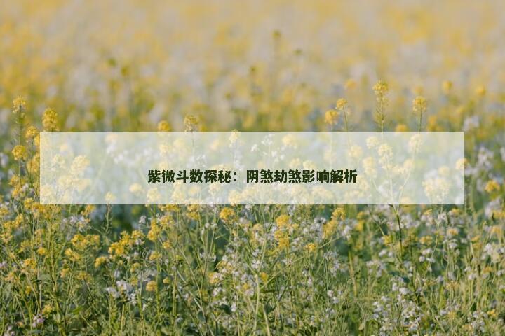紫微斗数探秘：阴煞劫煞影响解析
